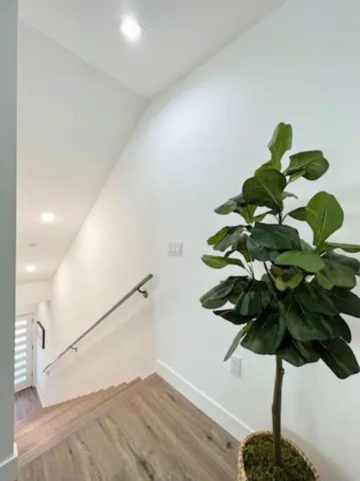 4Br Townhouse In Koreatown ロサンゼルス エクステリア 写真